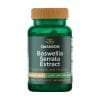 Boswellia 5-Loxin Swanson, 125 mg (60 cápsulas)