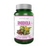 Raíz de rosa – Rhodiola Activlab (60 cápsulas)